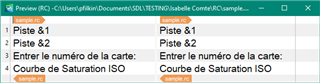 Screenshot of Trados Studio showing a preview of document structure with text 'Piste &1', 'Piste &2', 'Entrez le num ro de la carte:', 'Courbe de Saturation ISO' in two columns.