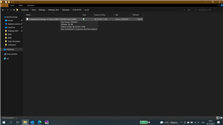 Screenshot of Trados Studio showing a file explorer with files having identical icons and a message 'this file type is not supported'.