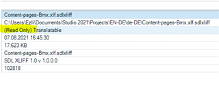 File details in Trados Studio showing a read-only file named 'Content-pages-Bmx.sdlxliff' with file path, status, size, and SDL XLIFF version.