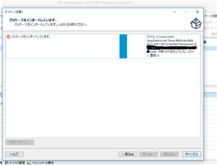 Error message in Trados Studio 2017 SR stating 'File XXXX could not be found' preventing the package from opening.