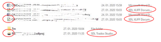 Screenshot showing User 1's file icons displaying correctly with Trados Studio icons for sdltm, sdlxliff, and sdlproj files.