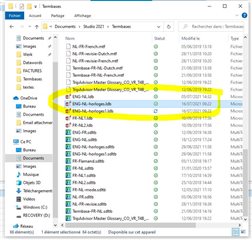 File explorer window with a list of files, highlighting a locked 'ldb' file with a recent 'last modified' date.