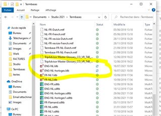 Screenshot of Trados Studio file explorer showing a list of files, with the 'Tempfolder Master Glossary_CO-YE-18.sdltb' file highlighted indicating it is locked or a temporary file.