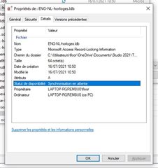 Properties dialog box for ENG-NL_hortiges.ltb file showing file location, size, and creationmodification dates with a highlighted 'Synchronisation en attente' status indicating synchronization on hold.