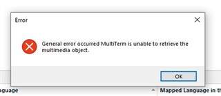 Error message in SDL Trados Studio 2021 stating 'General error occurred MultiTerm is unable to retrieve the multimedia object' with an OK button.