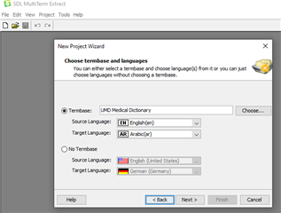 SDL MultiTerm Extract New Project Wizard showing options for Termbase and language selection without error messages.