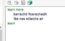 Trados Studio screenshot showing truncated entries in the MT panel with the terms 'learn more', 'barrachd fiosrachaidh', 'fas nas eolaiche air', and 'learn'.