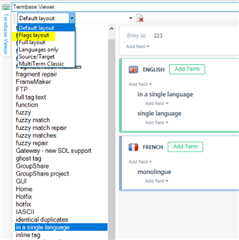 Screenshot of Trados Studio with the Termbase Viewer window open, displaying different layout options including Default Layout and Flags Layout.