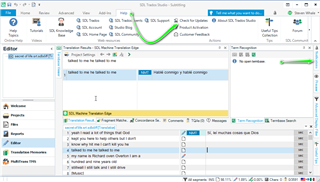 Trados Studio interface with Editor view open, showing a green checkmark indicating successful update or correct settings.