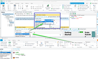 Screenshot of Trados Studio interface showing the TermBase Viewer with a green checkmark next to 'Status management', and a green arrow pointing to the reorganize Termbase button.