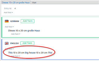 Screenshot of MultiTerm entry with incorrect English translation 'This 10 x 20 cm big house to 10 x 20 cm This' highlighted in red.