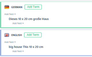 Trados Studio term base entry showing the incorrect result of a string replacement in the English term field.