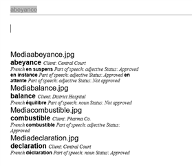 RTF export result displaying only the image names and not the actual images, with additional term record history information.