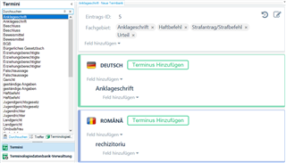 Trados Studio termini entry details for Anklageschrift with entry ID 5, showing term in German and Romanian.