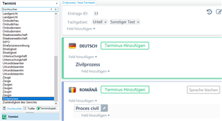 Trados Studio termini entry details for Zivilprozess with entry ID 33, showing term in German and Romanian without duplicates.