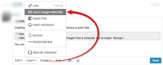 Trados Studio forum post editor with a red arrow pointing to the 'Insert imagevideofile' option with a tooltip saying 'Insert images from a computer.'