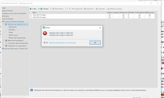 Trados Studio error dialog box stating 'Activation data is invalid' with an OK button.