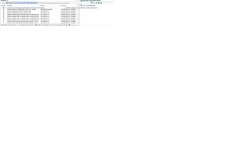 Screenshot of Trados Studio showing an empty project view with no details displayed, contrary to expected behavior.