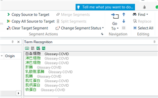 Trados Studio interface showing Term Recognition panel with multiple Chinese terms all linked to 'Glossary-COVID' without English translations.