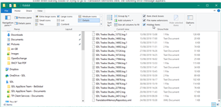 Screenshot of a Windows file explorer window displaying the contents of the 'SDL Trados Studio' folder with no visible errors or warnings.