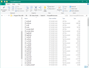 Screenshot of a File Explorer window with the path to Trados Studio's 'Projects' folder, showing various files and folders within.