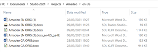 File explorer window showing a list of Amadeo project files in Trados Studio with various file types and sizes.