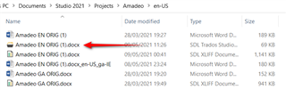 Windows file explorer showing Trados Studio project files with file extensions visible. A red arrow points to a file named 'Amadeo EN ORIG (1).docx.sdlproj' indicating a possible mistake in the project folder.