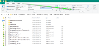 File Explorer window showing the path C:UsersUserNameAppDataRoamingSDLSDL Trados Studio16 with the 'Hidden items' option checked in the View tab.