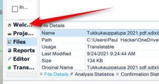 Screenshot highlighting the Files view in Trados Studio with a red arrow pointing to 'File Details' of a file named 'Tukkuapupalupa 2021.pdf.sdlxliff'.