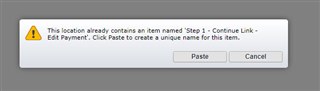 Dialog box warning that the location already contains an item with the same name, prompting for a unique name with Paste and Cancel options.