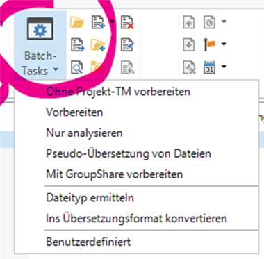Trados Studio screenshot showing Batch-Tasks menu with options such as 'Ohne Projekt-TM vorbereiten', 'Vorbereiten', and 'Ins  bersetzungsformat konvertieren' highlighted.