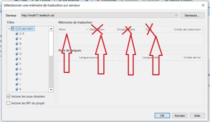 Screenshot of Trados Studio Ideas GroupShare server translation memories connection window, showing 4 columns with red arrows pointing at 'Name', 'Direction', 'Source Language', and 'Number of Units'. The 'Direction' and 'Source Language' columns are marked as useless.