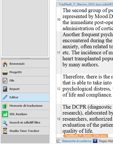Trados Studio Editor view with a file open showing confirmed segments in the translation grid.
