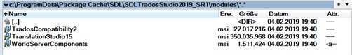 File explorer window showing Trados Studio 2019 SR1 modules with file names, sizes, and modification dates.