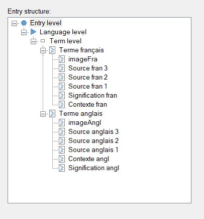 Screenshot of MultiTerm 2024 showing the entry structure with Entry level at the top, followed by Language level, and Term level with various subfields for French and English terms.