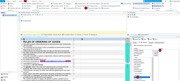 Trados Studio screenshot showing the Editor view with an open xliff file. The View tab is highlighted, and the Advanced Display Filter dropdown is open with 'Repetitions' selected.