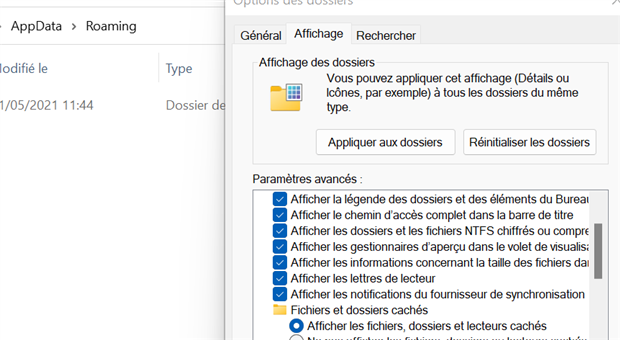 Folder Options window showing advanced settings with 'Show hidden files, folders, and drives' option checked.