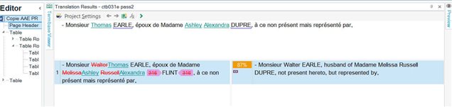 Screenshot of Trados Studio showing a translation result with the word 'FLINT' not struck-through in the TM segment and 'DUPRE' substituted in the translation without an indicator.
