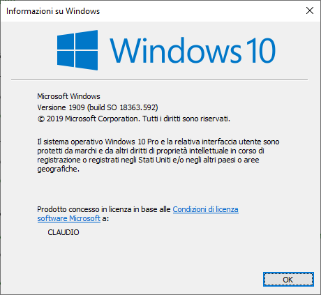 Windows 10 information window showing version 1909 (build 10.0.18363.592) with Microsoft copyright and trademark information.