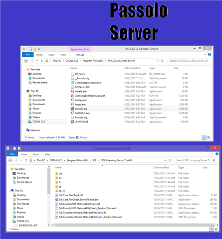 Screenshot of a computer server screen labeled 'PASSOLO License Server' with a list of files including 'lmadmin.exe', 'lmgrd.exe', and 'PASSOLO.log'.