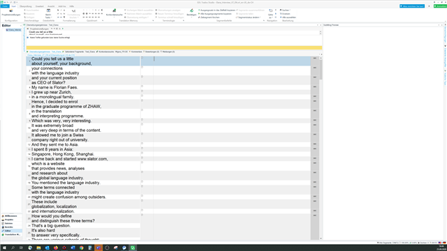 Screenshot of Trados Studio showing the preview pane with a document open. No visible errors or warnings are present in the pane.