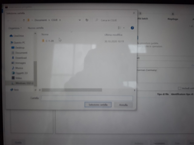 Blurred screenshot of a file selection window in Trados Studio with only the 'C-1-20' subfolder visible, other subfolders are missing.