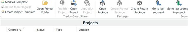 Trados Studio screenshot showing the Project view with a title bar labeled 'Projects' under the Ribbon, including icons for various project-related actions.