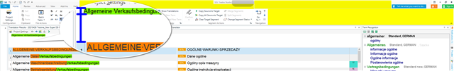 Trados Studio Editor view with a highlighted term 'Allgemeine Verkaufsbedingungen' and a warning for 'Double spacing' in the term recognition window.