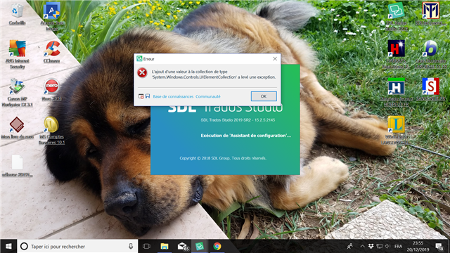 Error message on Trados Studio 2019 stating 'Object reference not set to an instance of an object' with System.Windows.Controls error details, over a desktop background featuring a sleeping dog.