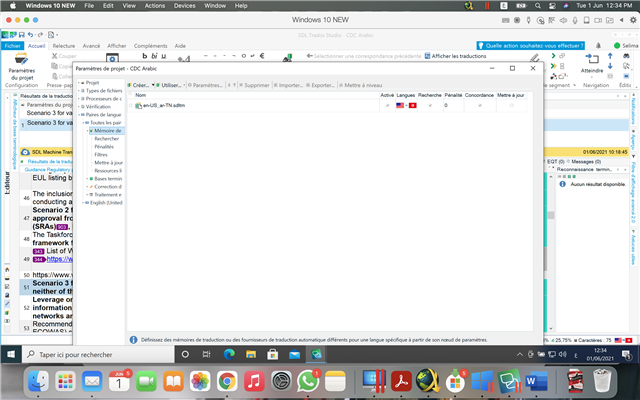 Trados Studio interface showing a local project with a segment open for confirmation. No visible errors or warnings in the screenshot.