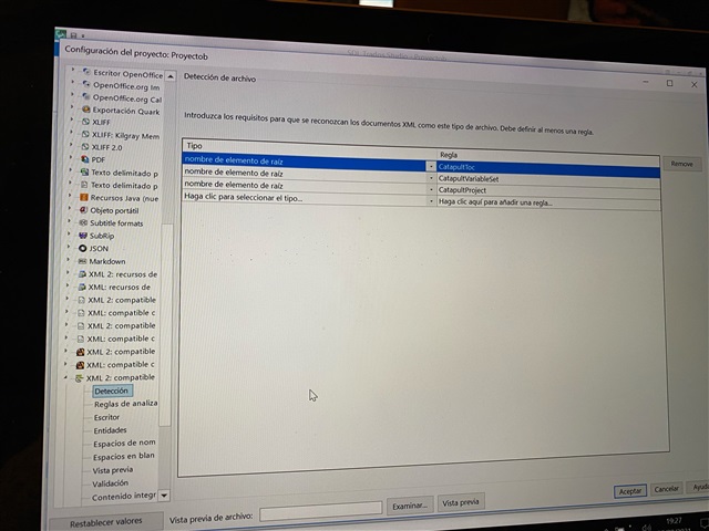 Trados Studio project configuration window with root element requirements for file type detection, displaying no visible errors.