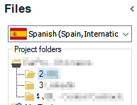 Trados Studio Files view showing folders with blurred names and a Spanish (Spain, International) language setting.