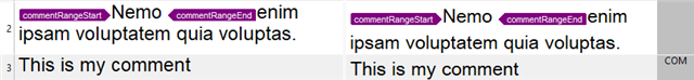 Preview of Trados Studio showing a segment with the word 'Nemo' highlighted and a comment 'This is my comment' displayed below.