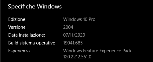 Windows 10 Pro system specifications showing Edition, Version 2004, Installation date 07112020, OS build 19041.685, and Windows Feature Experience Pack 120.2212.551.0.